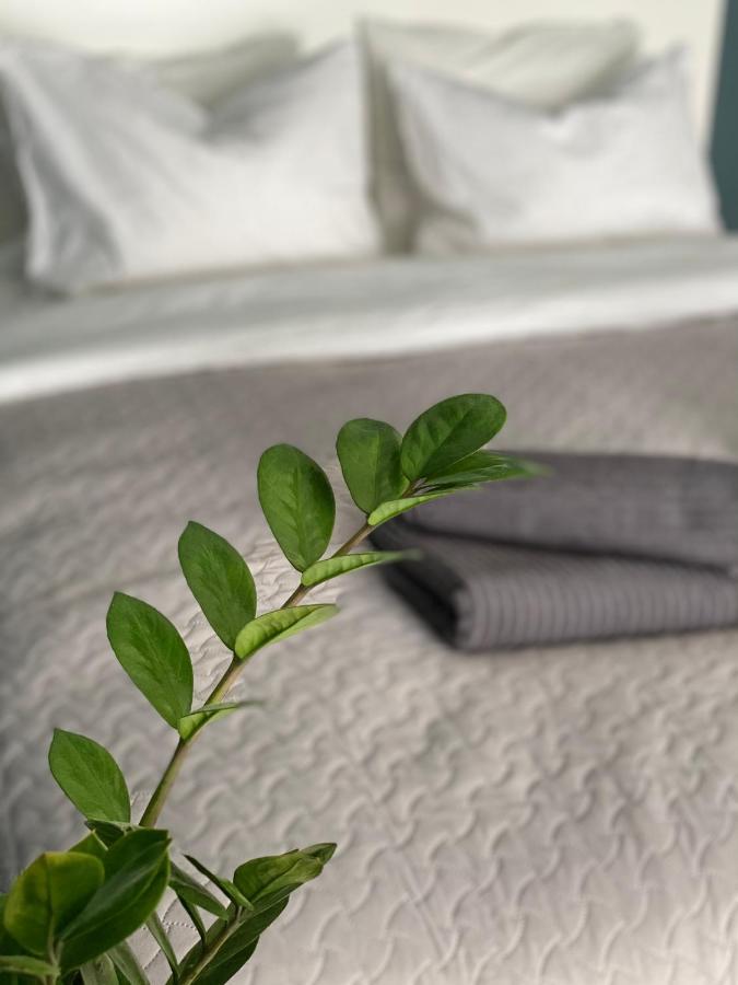 City Ocean Apartment 다우가프필스 외부 사진